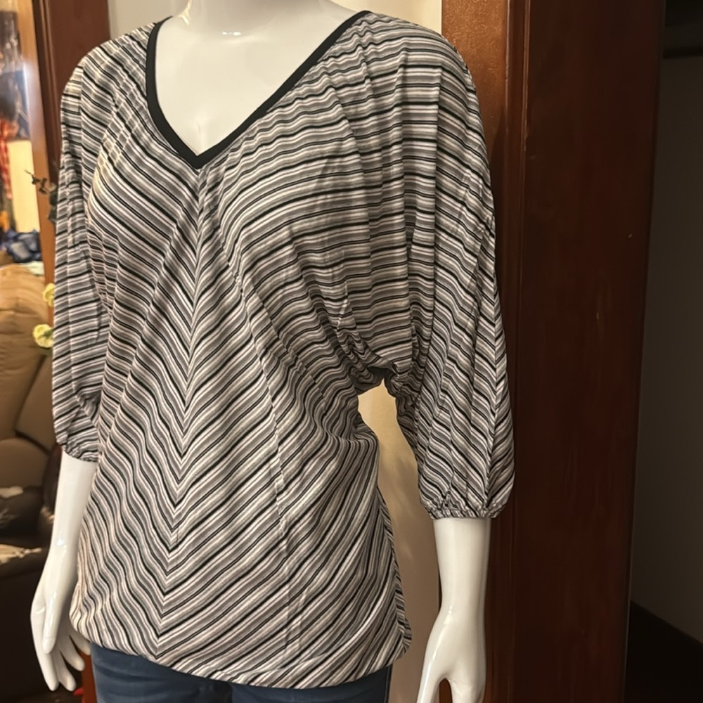 NWT northern reflections size small Striped V-Neck Women's Top